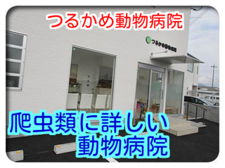 MhoIJvw2dVUtAsy1436272887_1436273824.png